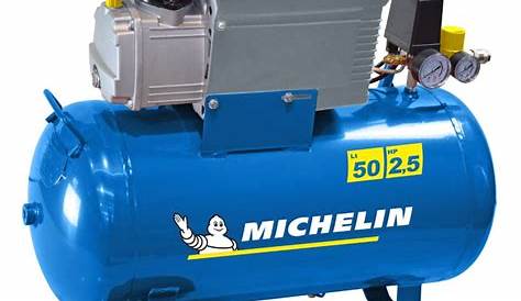 Compresseur 50 Litres Michelin 3 CV MB36 365
