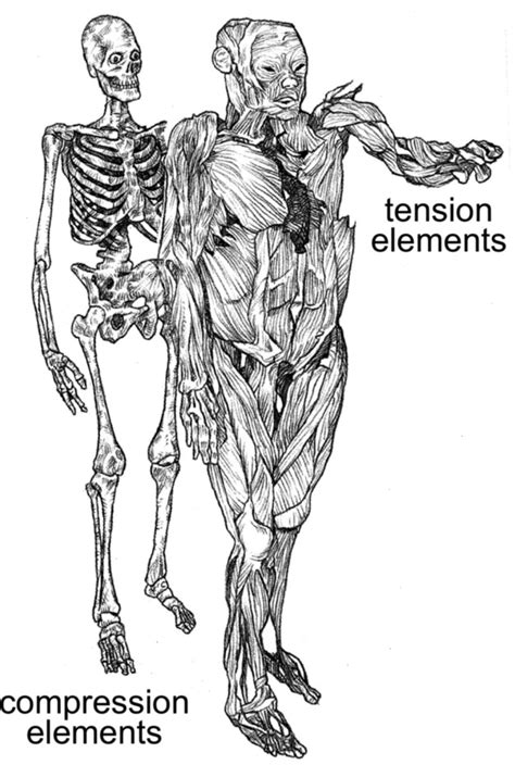 Compression Of Elements