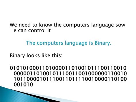 computer language binary number