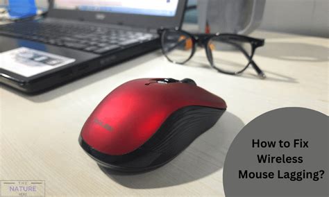 Computer Mouse And Keyboard Lagging