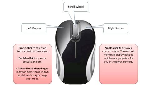 Computer Mouse Button Function