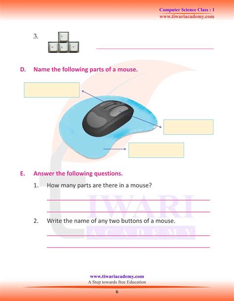 computer mouse definition for class 1