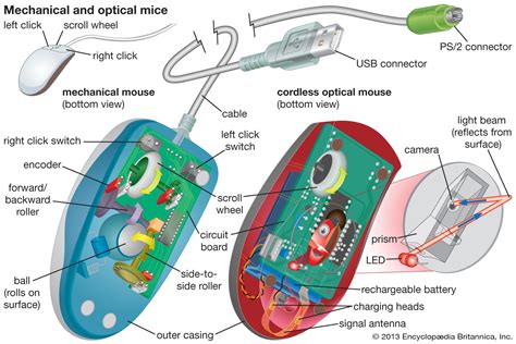 Computer Mouse Device Function