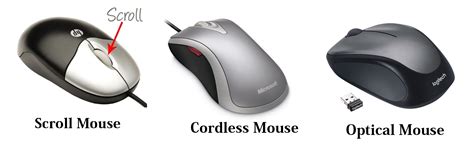 Computer Mouse Example
