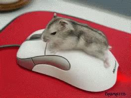 Computer Mouse Funny Gif