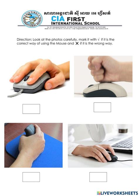 Computer Mouse Quiz