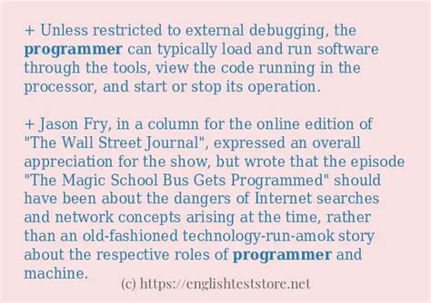 Computer Programmer Example Sentence