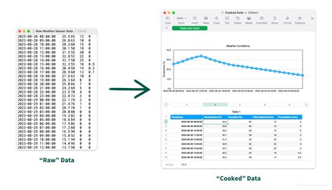 Computer Raw Data Examples