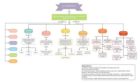LECCION 1 SELECCION DE LA COMUNIDAD MAPA CONCEPTUAL