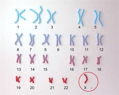 con người có bao nhiêu cặp nhiễm sắc thể