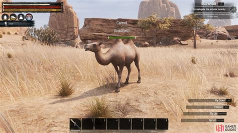Conan Exiles Pet Uses