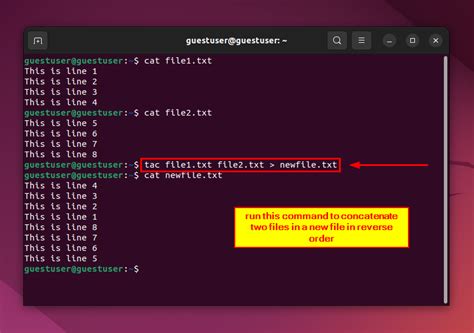 Concatenate String Command Line Linux