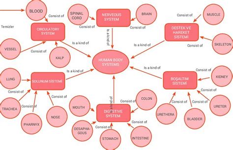 concept map in research example