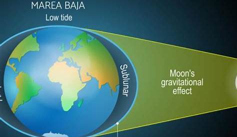 Explicación de las mareas para niños: cómo funcionan | Renovables Verdes