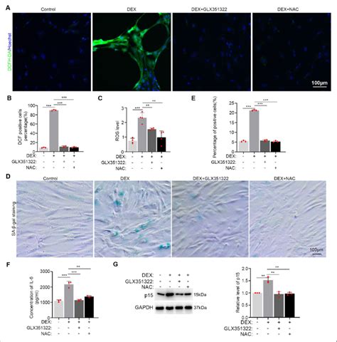 concern in strain - breach meshwork is increasing
