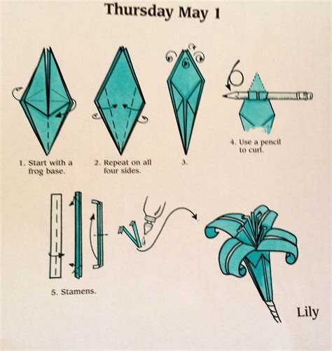 Origami Carnation Diagram