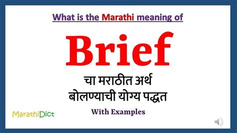 concise meaning in marathi with example