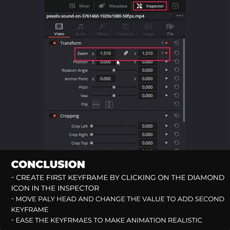 conclusion davinci resolve