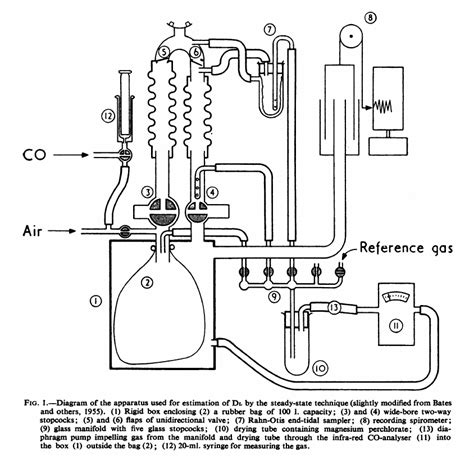 Conclusion Wiring Diagram CPT Code Image