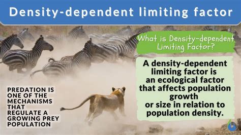 Concrete Examples Density-Dependent Limiting Factor