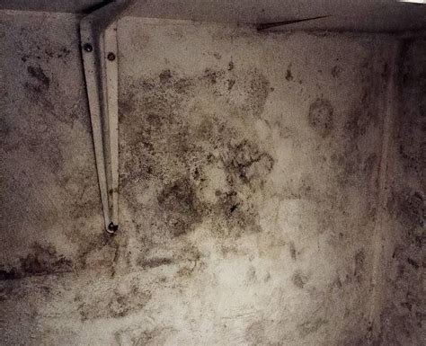 concrete wall mold