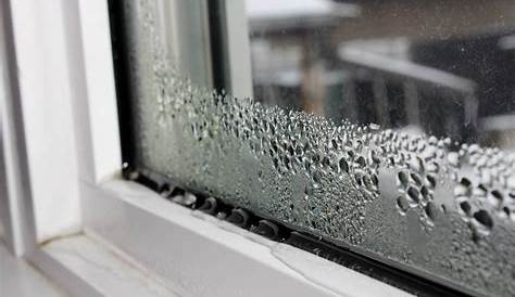 Condensation Fenetre Interieur Sur Les Fenêtres Ingénieur Civil Onesta