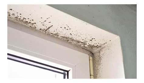 Condensation Mur Maison J’ai Un Problème D’humidité Dans Ma , Estce De La