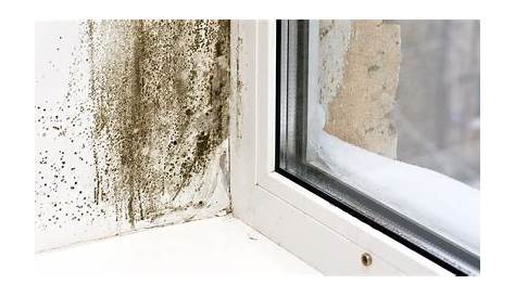 Condensation Sur Les Murs Chambre D’où Vient La Dans Une Maison