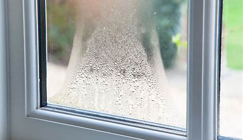 Condensation …Not So Pretty Engineering Technical Consultants