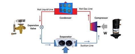 Condenser Coil Or Compressor