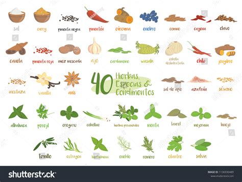 Condiments Examples In Spanish