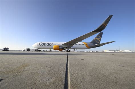 condor flug ab frankfurt