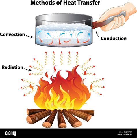 The Best Conduction Convection And Radiation In A Flask Ideas