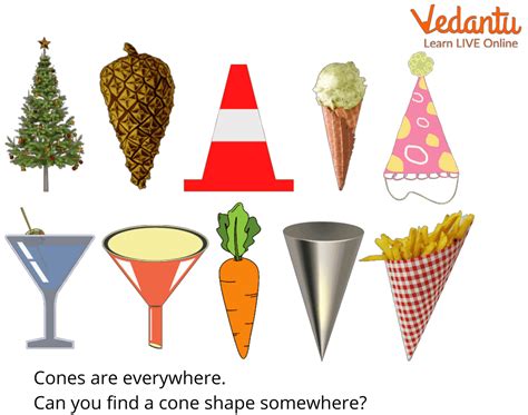 Cone Meaning Examples