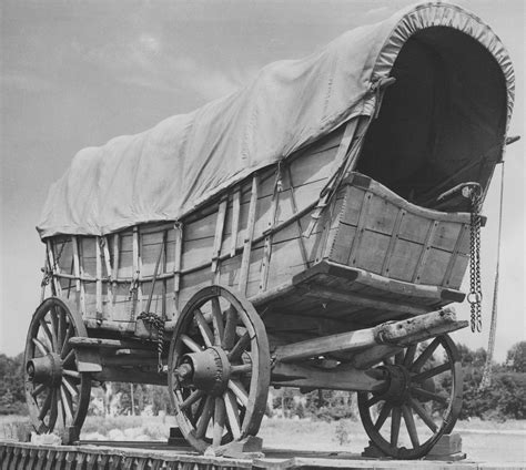 Conestoga Wagon Synonym
