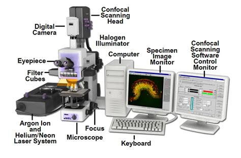 Confocal Microscope Parts And Functions