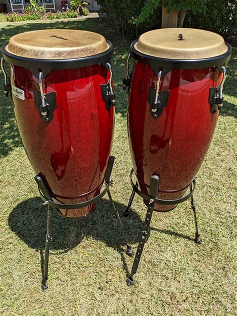 Congas Headliner Usato