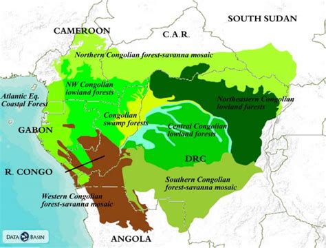 congo basin rainforest map