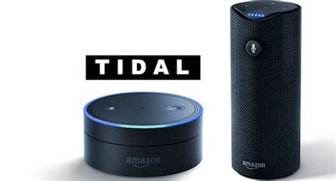 connect tidal to alexa