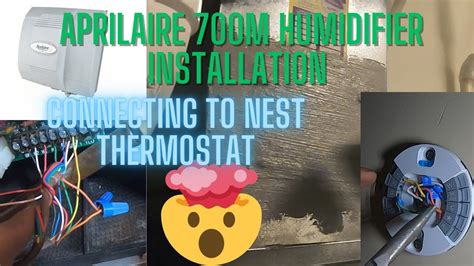 How to set up a Nest Thermostat with a humidifier OHMefficient