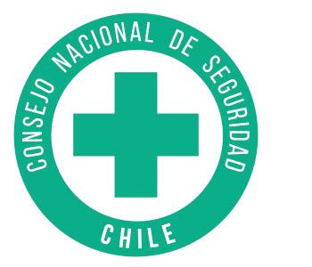 consejo nacional de seguridad de chile