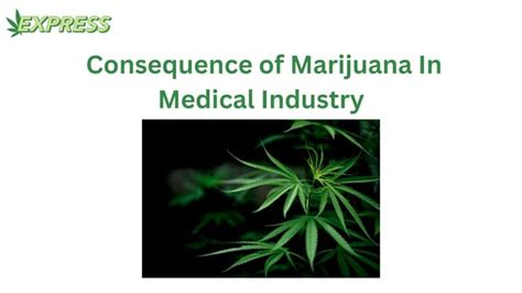 consequence Of Marijuana Use On stripling
