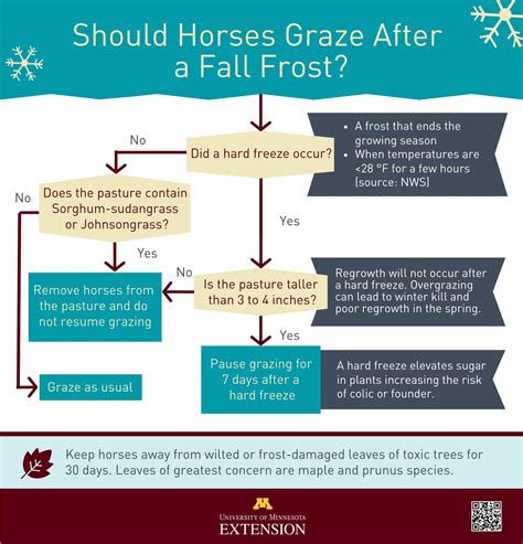 consider Safe graze
