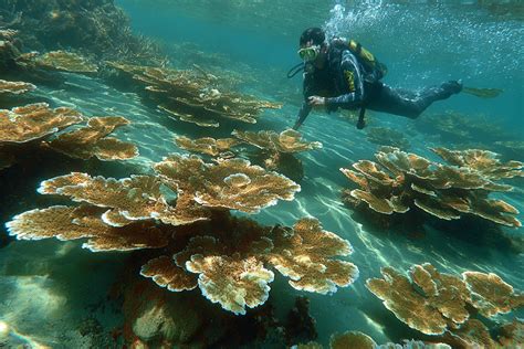 considerations scuba diving