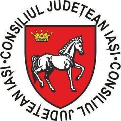 consiliul judetean iasi concursuri