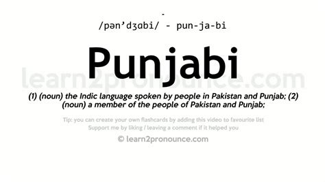 consistency meaning in punjabi