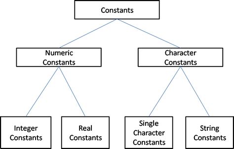 constants in programming