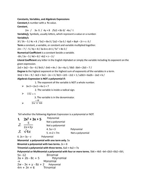 constants variables and algebraic expressions lesson plan