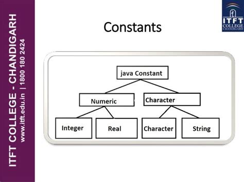 constants variables and data types in java