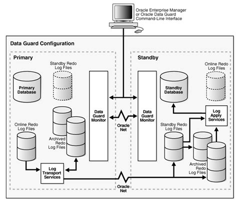 constellation in Oracle Data Guard